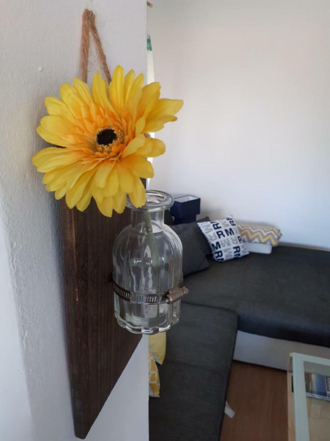 ורסי Apartman Zvoncica מראה חיצוני תמונה